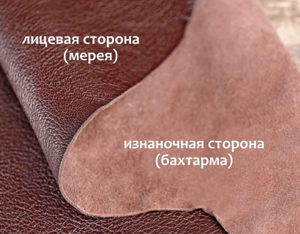 Лицевая и изнаночная стороны кожи